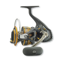 Daiwa BG Meeres-Spinnrolle