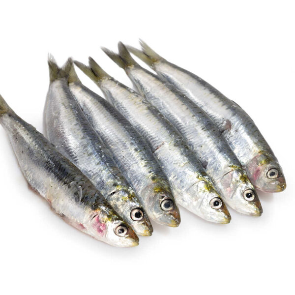 Sardinen 4 - 6 Stück per 500g gefroren