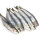 Sardinen Groß 5 - 6 Stück ca. 18-23cm Vakuumverpackt gefroren