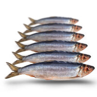 Hering 4 - 6 Stück ca. 17-23cm per 500g gefroren