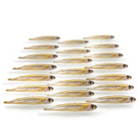 Stint klein 20 - 40 Stück ca. 5-9cm per 250g gefroren