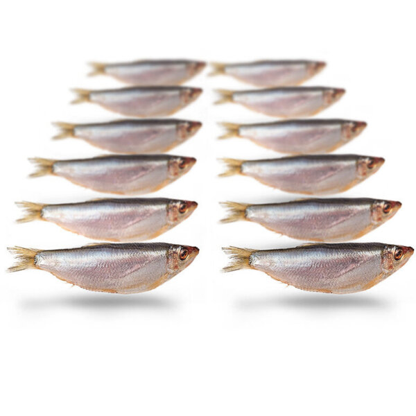 Sprotten 12 - 25 Stück ca.8-12cm per 250g gefroren