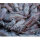 Kalamar Tintenfisch Calamari 15-22cm per 400g gefroren