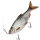 Quantum Mr.Pike Ghost Traces Bait Release-Rig weiß Gr.6