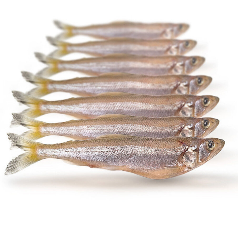 Stint Groß 7 16 Stück ca. 1218cm, 6,99