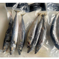 Makrele 6 Stück ca. 25-35cm gefroren Premium Qualität