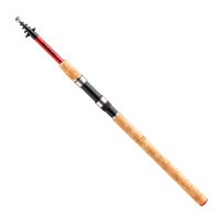 Daiwa Sweepfire Tele Teleskoprute