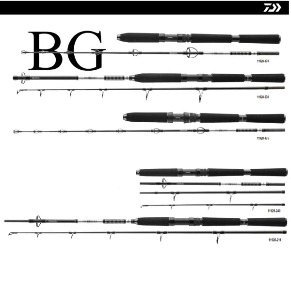 Daiwa BG Offshore Rute