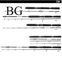 Daiwa BG Offshore Rute