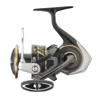 Daiwa 23 Caldia SW 6000D-H