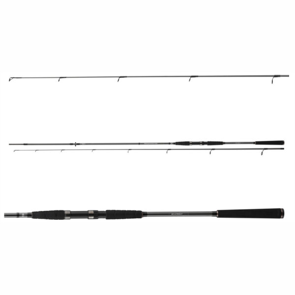 Daiwa Seahunter X Sea Trout 3,1m 10-40g