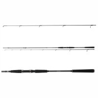 Daiwa Seahunter X Sea Trout 3,1m 10-40g