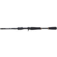 Daiwa Prorex XR Spin Baitcast 2,10m / 14-42g