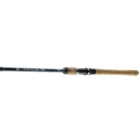 Daiwa Exceler Traditional Spinnrute