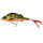 Westin Percy The Perch Crankbait 10cm Wobbler Bling Perch