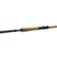 Daiwa Megaforce Catfish Rute