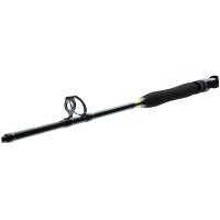 Daiwa BG Big Game Travel Rute 1,68m 20-30lbs