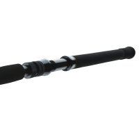 Daiwa BG Big Game Travel Rute 1,68m 20-30lbs