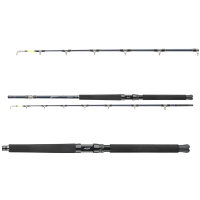 Daiwa Tanacom Ultra Deep 2,10m 400-1000g