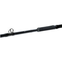 Daiwa Tanacom Ultra Deep 2,10m 400-1000g