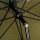 Avid Revolve 60in Day-Session Brolly Schirm