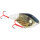 Westin Swim Glidebait 12cm 53g suspending Halloween Edition Eaten Pike