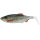 Westin Ricky The Roach Shadtail 14cm Limitiert für klares Wasser Glitter Roach