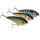 Westin Swim Glidebait 10cm 34g Sinking TC Limited Edition
