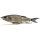Nays TRN 190 Swimbait S-35