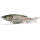 Nays TRN 190 Swimbait S-37