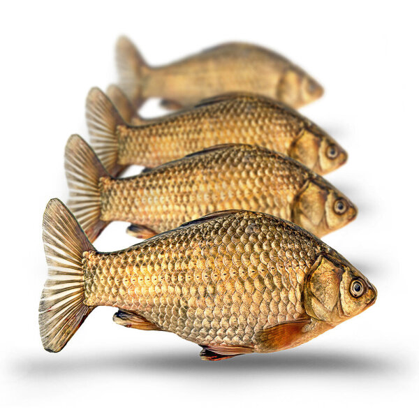 Giebel klein 5-8 Stück ca.10-15cm gefroren