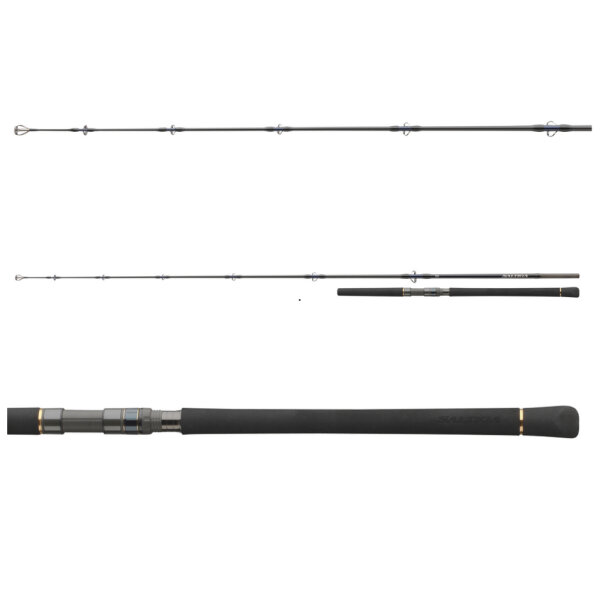 Daiwa Saltiga Popper Rute 2,40m 120-165g