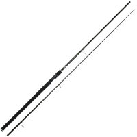 Westin W2 Deadbait Big Water ST 3,60m 250g 3,75LBS