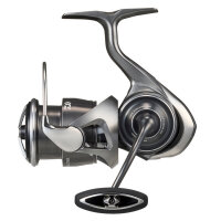 Daiwa 25 Caldia LT Rolle
