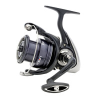 Daiwa 25 NZon LT Match & Feederrolle