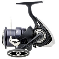 Daiwa 25 NZon LT Match & Feederrolle