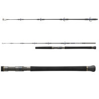 Daiwa Saltiga Jigging Rute 5,8ft 1,70m 150-300g