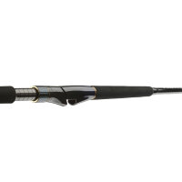 Daiwa Saltiga Air Portable Rute 8,0ft 2,40m 40-110g 4-teilig