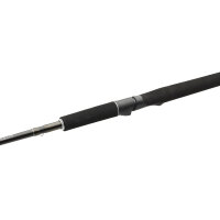 Westin W2 Powercast Travel Spinnrute