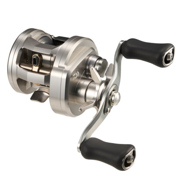 Daiwa 26 Ryoga Baitcastrolle