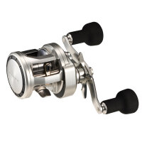 Daiwa 26 Ryoga Baitcastrolle