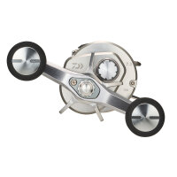 Daiwa 26 Ryoga Baitcastrolle