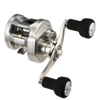Daiwa 26 Ryoga Baitcastrolle