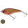 Westin Jerkbait Swim 12cm suspending Limited Edition 2026 3D Magic Roach