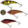 Westin Jerkbait Swim 12cm suspending Limited Edition 2026 Sparpack alle 3 Farben