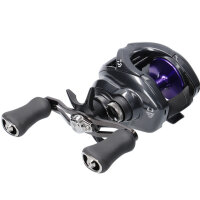 Daiwa 26 Prorex TW HD Baitcastrolle