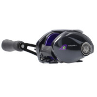 Daiwa 26 Prorex TW HD Baitcastrolle