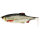 Westin Ricky the Roach Shadtail 7cm 2er Set Gummifisch