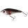 Westin Jerkbait Swim 12cm sinking Limited Edition 2024