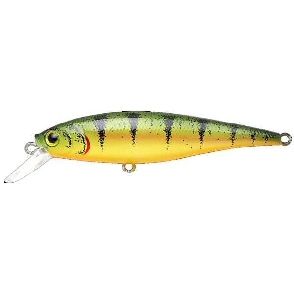 Northern Yellow Perch